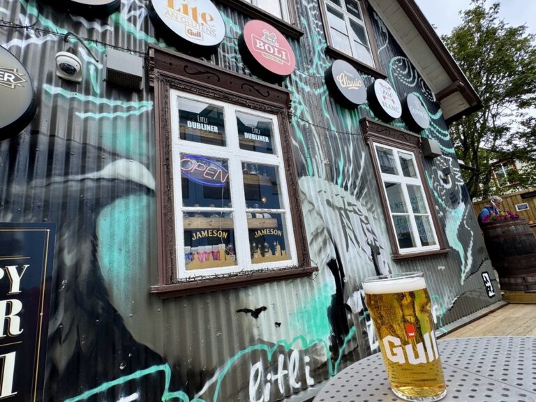 The Puffins of Reykjavik
