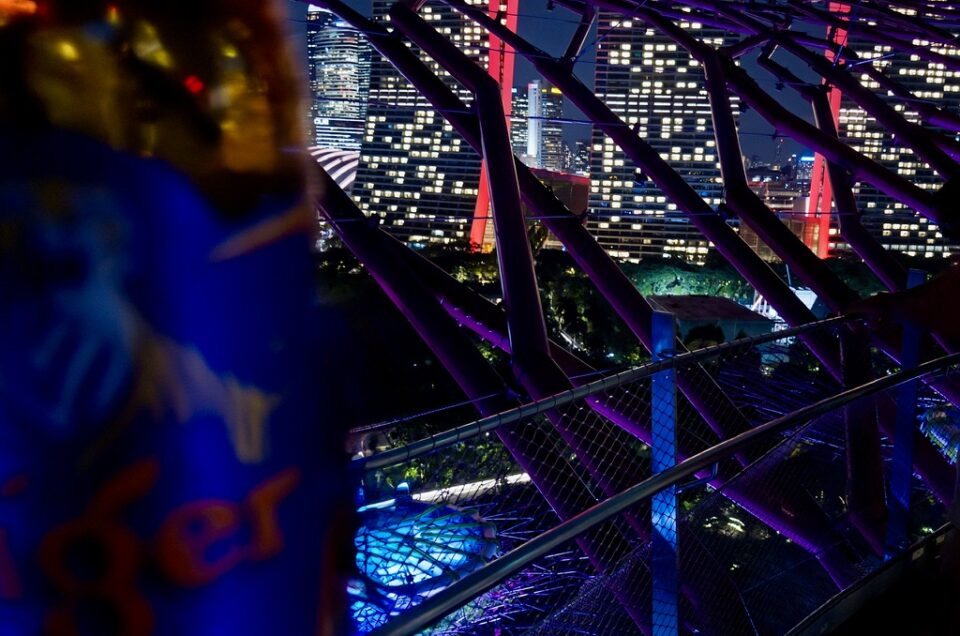 The Gardens of Singapore