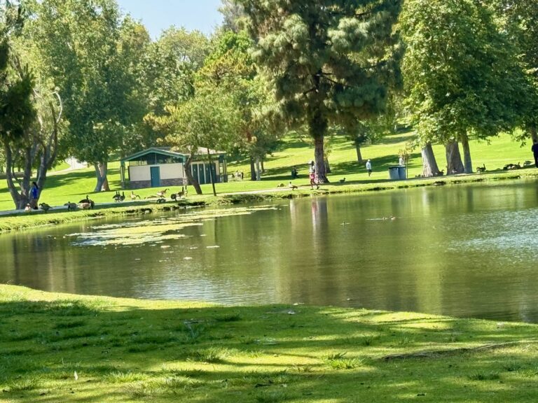 The Calm of Carbon Canyon