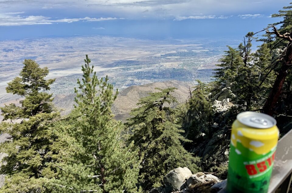 Soaring Above Palm Springs