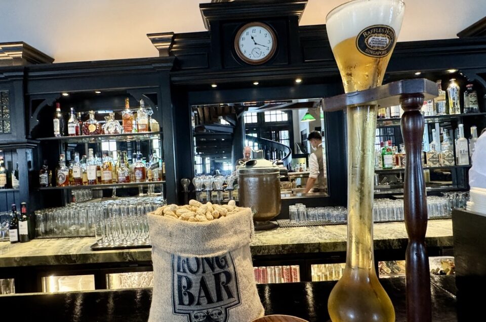 The Sensational Singapore Skyline